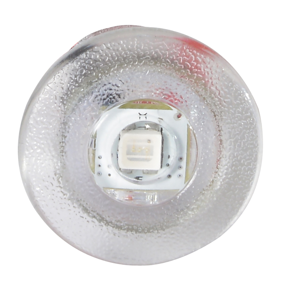 Lumitec Newt - Livewell & Courtesy Light - Warm White Non-Dimming 3 Lumitec Newt - Livewell & Courtesy Light - Warm White Non-Dimming - Image 3